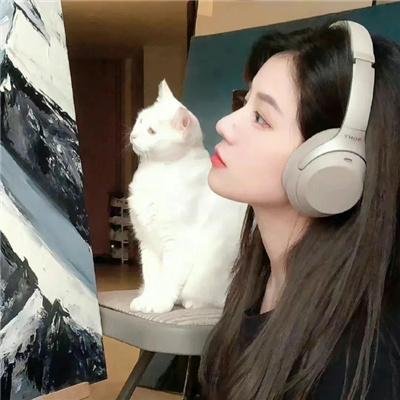 倾巢而出
